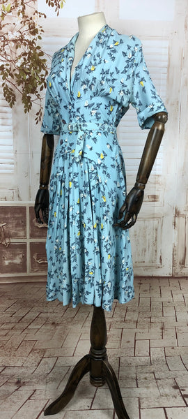 Amazing Original 1940s 40s Vintage Rayon Jersey Novelty Print Dress
